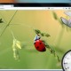 firefox-tab-page-644x373