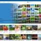 windows-store-themes-100703946-medium